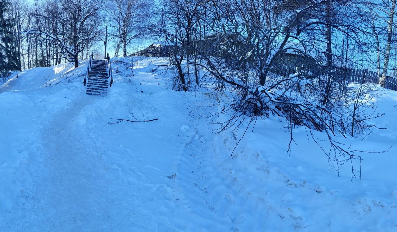 ГБУ МО Государственное Ветеринарное управление Ветлужского района