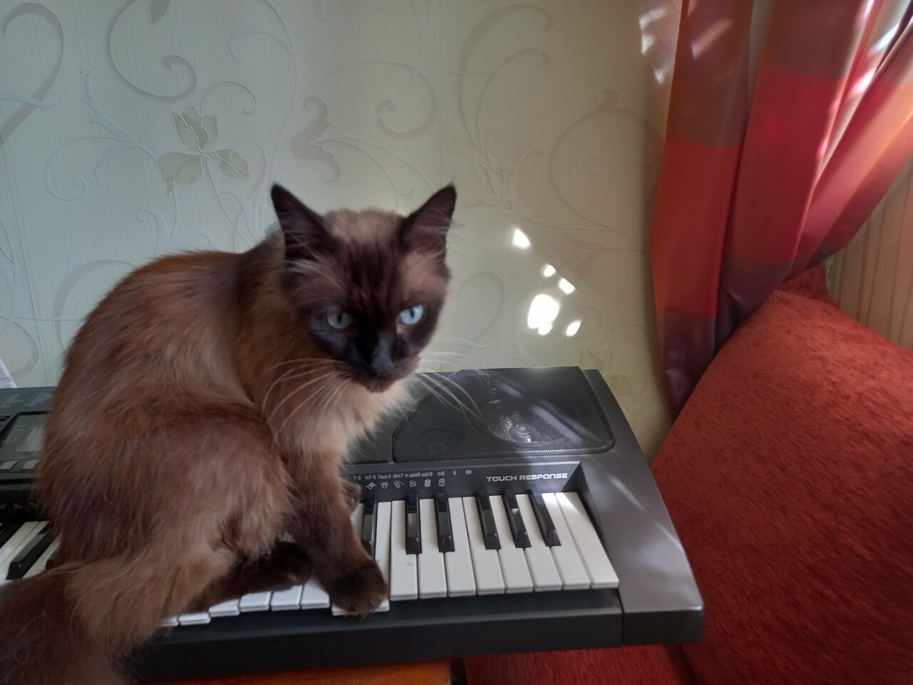 Александровская районная станция по борьбе с болезнями животных