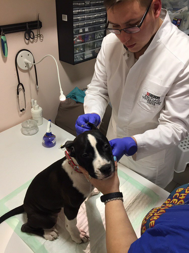 more clinic photos 32681