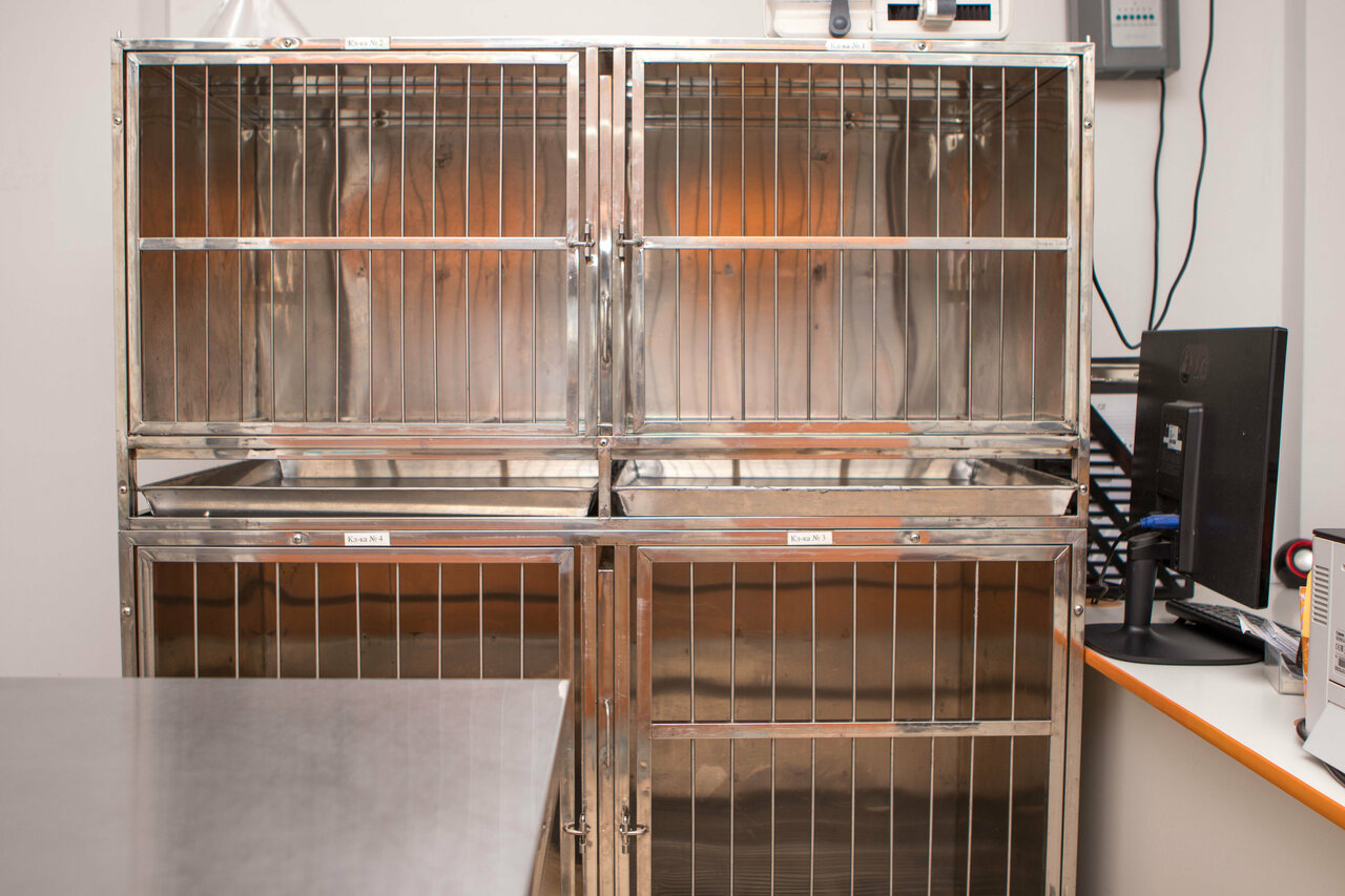 more clinic photos 8062