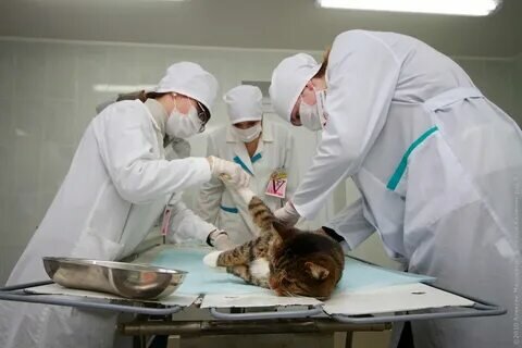 clinic general image