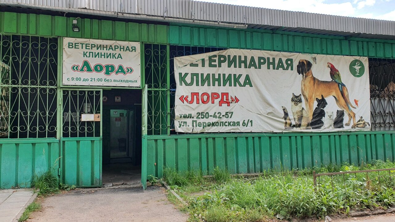 Фото клиники 61504