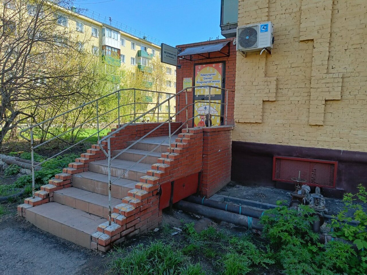 Уши, лапы и хвосты