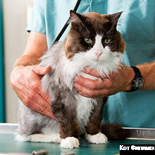 clinic general image