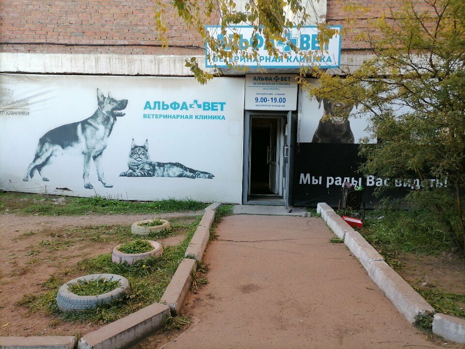Фото клиники 19806