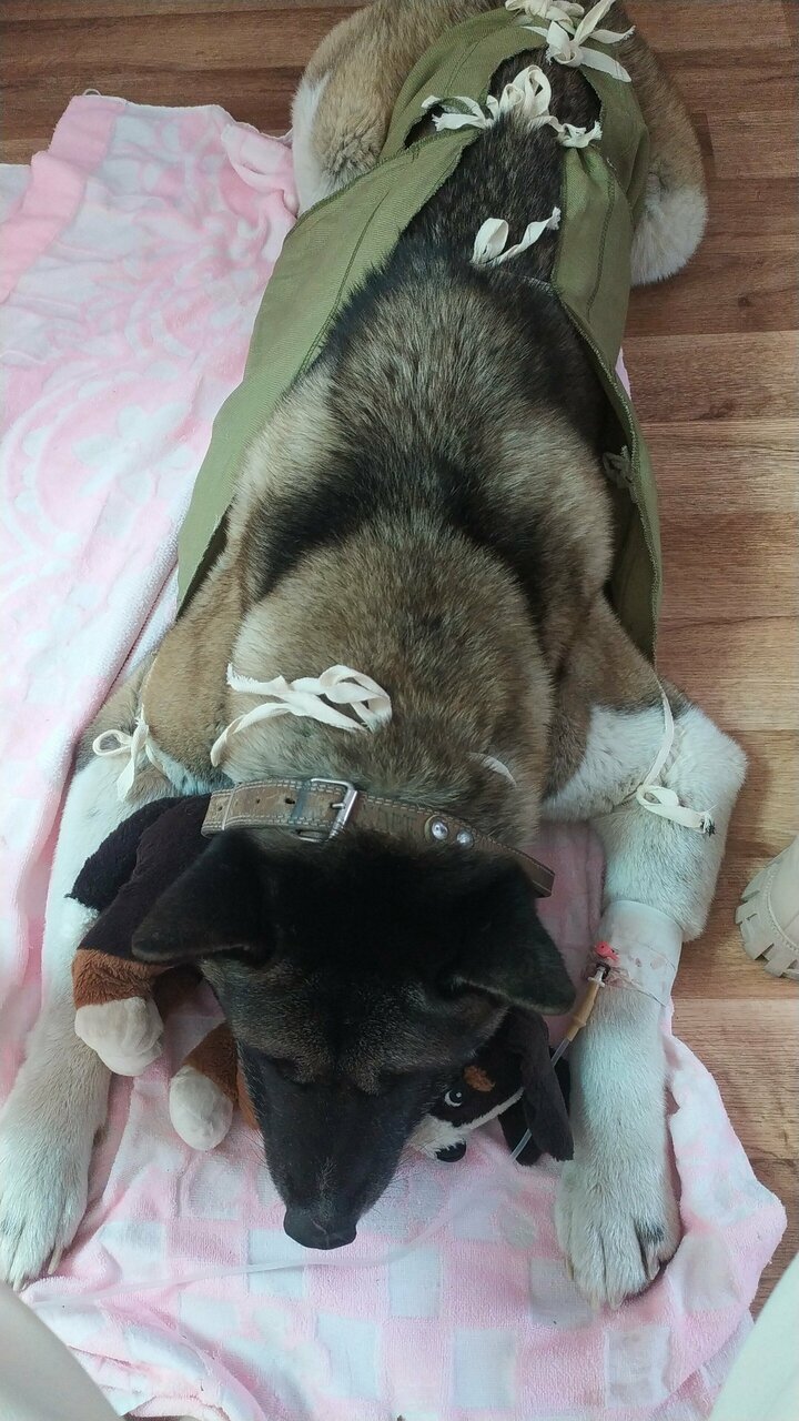 more clinic photos 80361