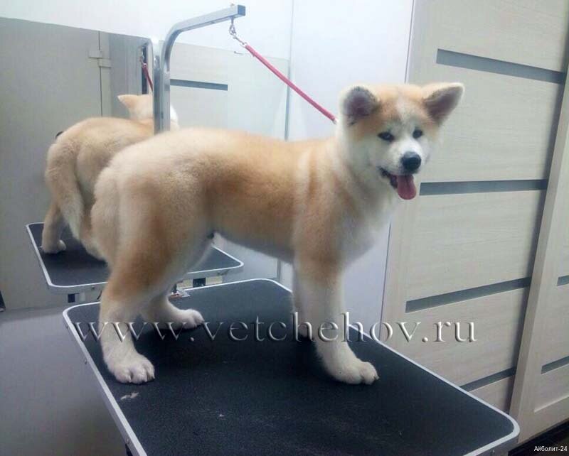 clinic general image