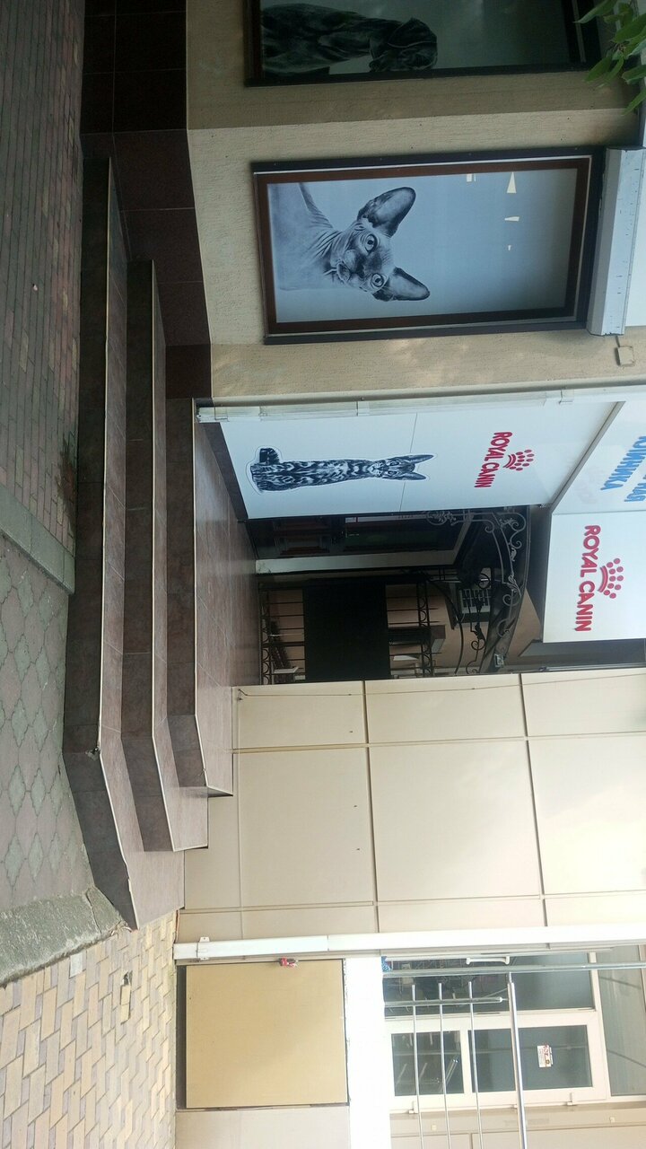Фото клиники 64970