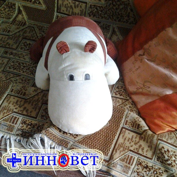 Фото клиники 12175