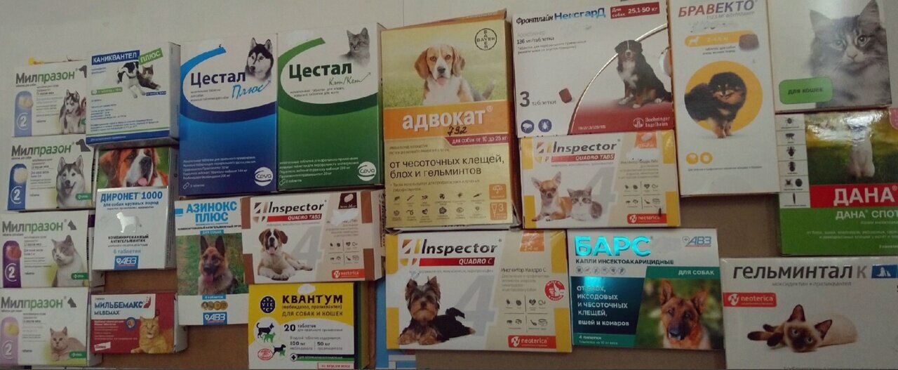 Боровская районная станция по борьбе с болезнями животных, Балабановский ветеринарный пункт