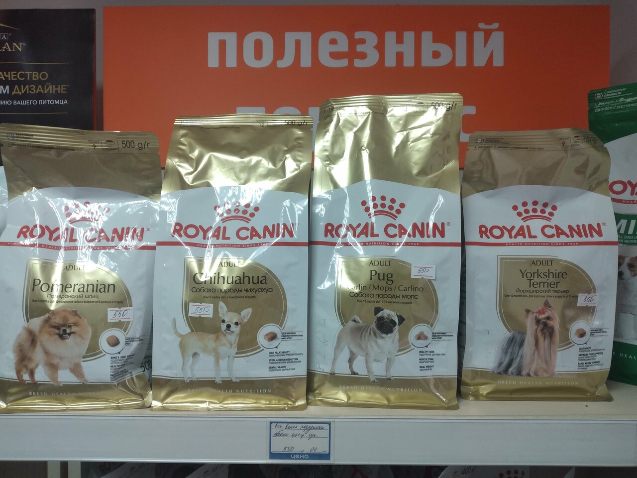 Фото «ЛаккиВет»