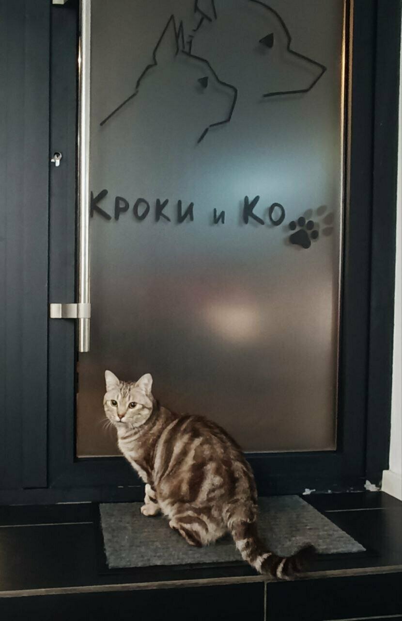 Фото клиники 34098