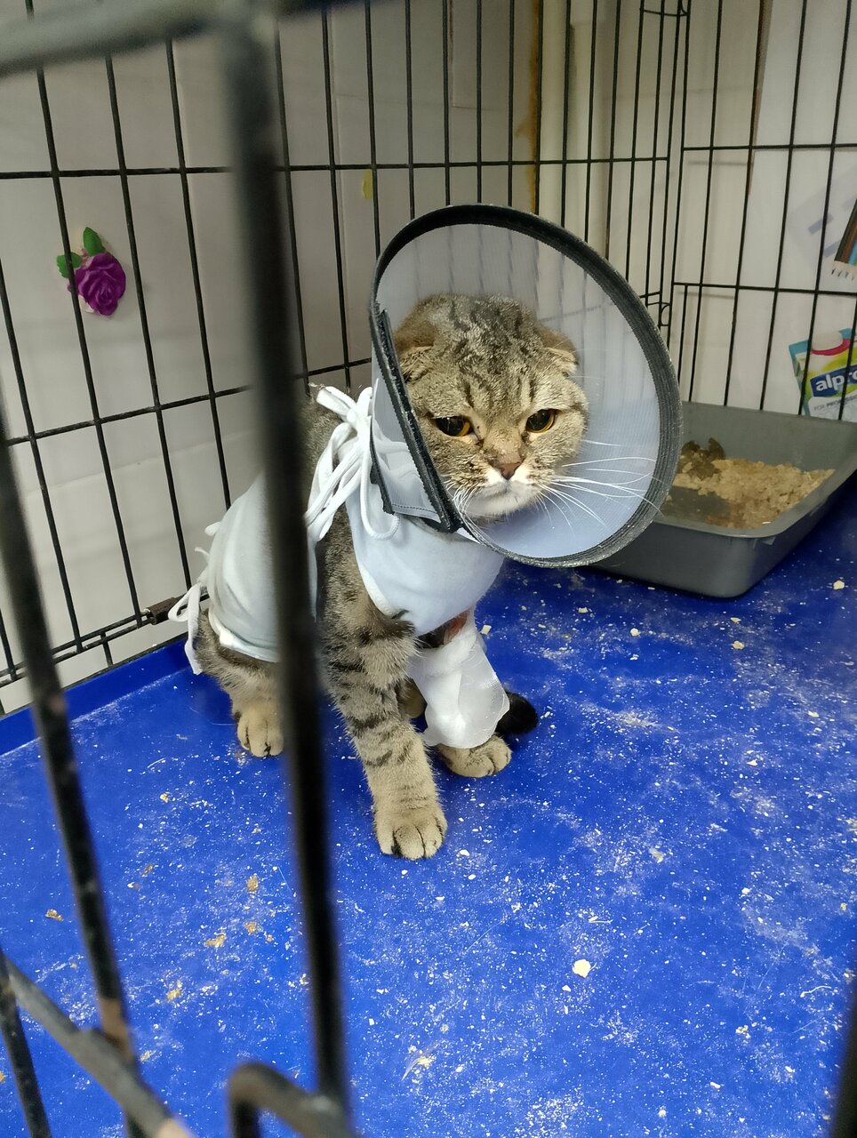 more clinic photos 42112