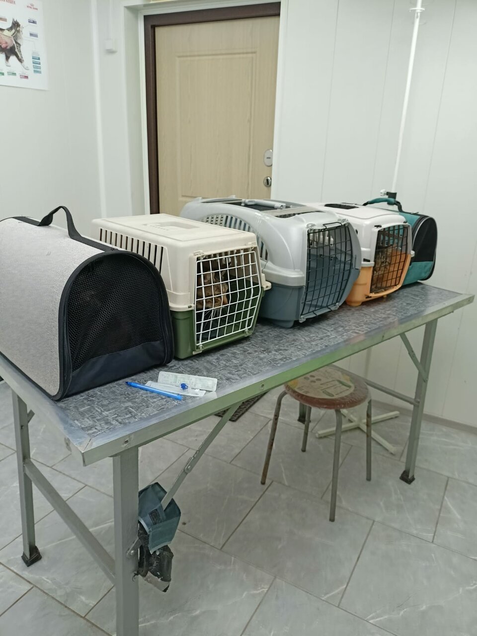 more clinic photos 41664