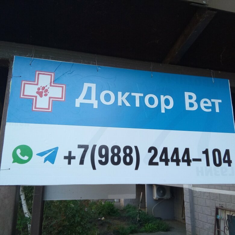 Доктор Вет