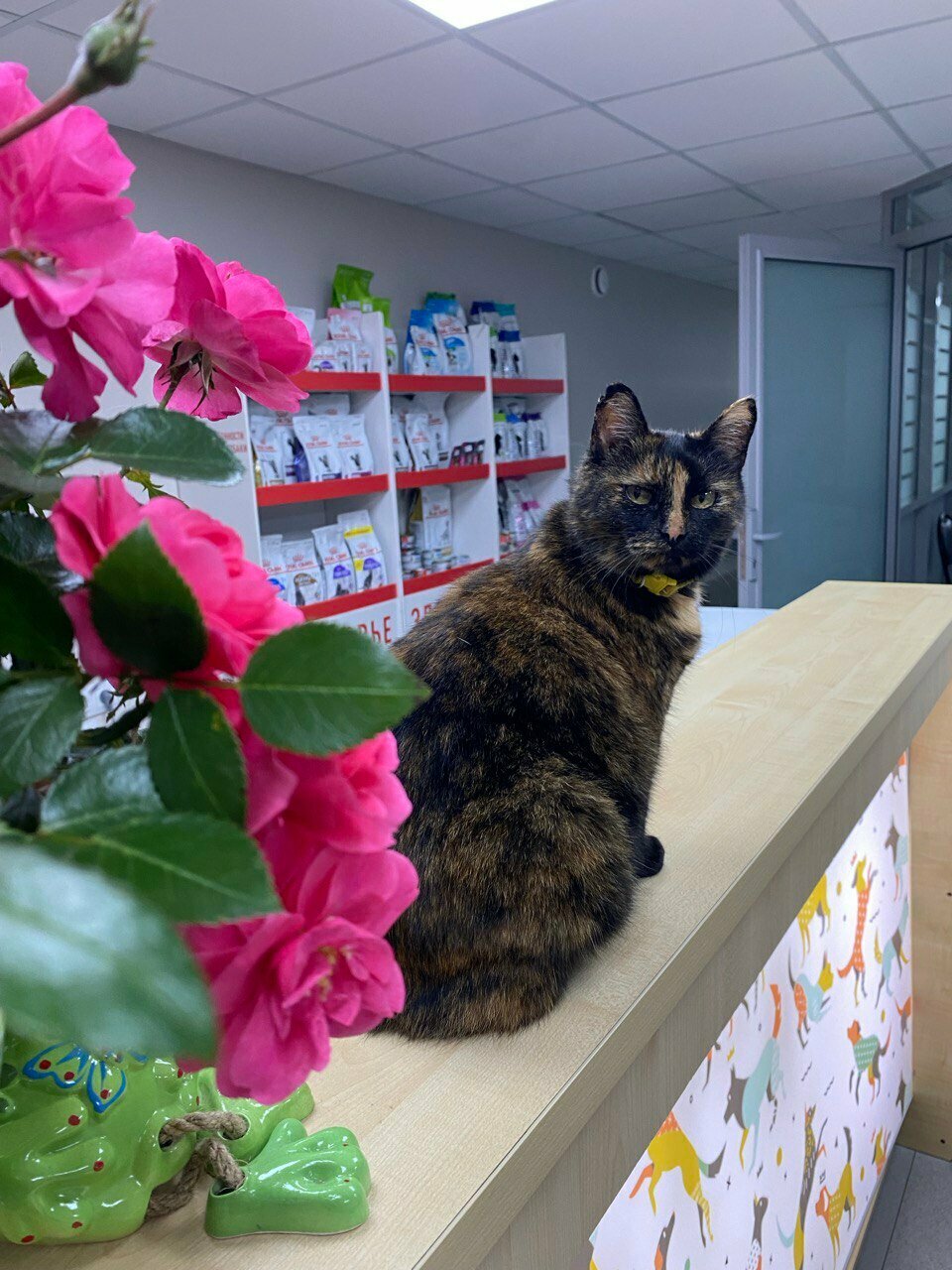 more clinic photos 43544