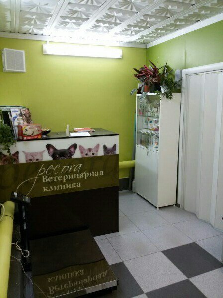 Фото клиники 77616