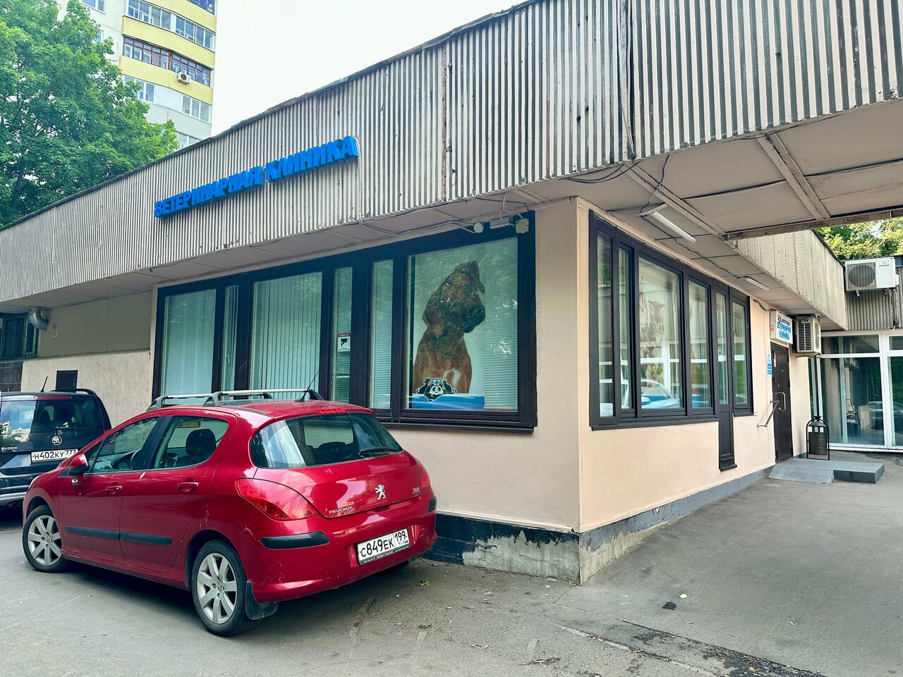Фото «Доктор Панда»