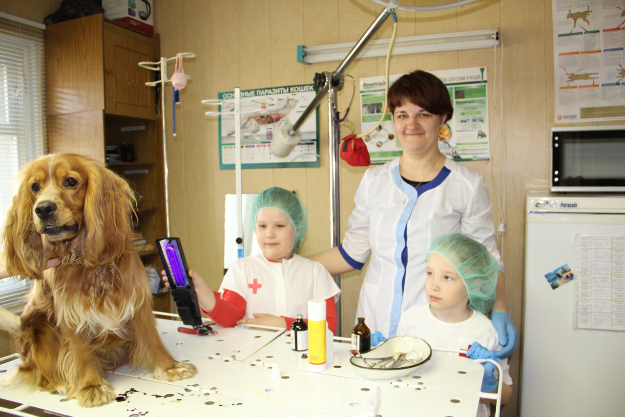 Усть-Илимская станция по борьбе с болезнями животных, первомайский ветеринарный пункт