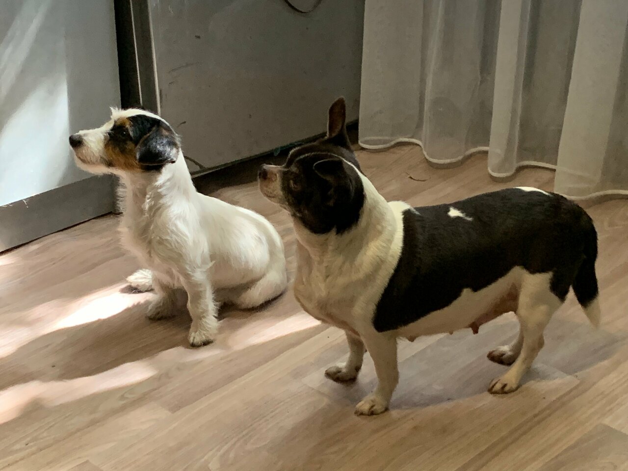 clinic general image