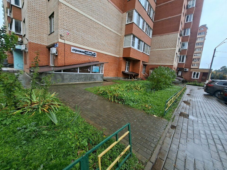 Фото клиники 38538
