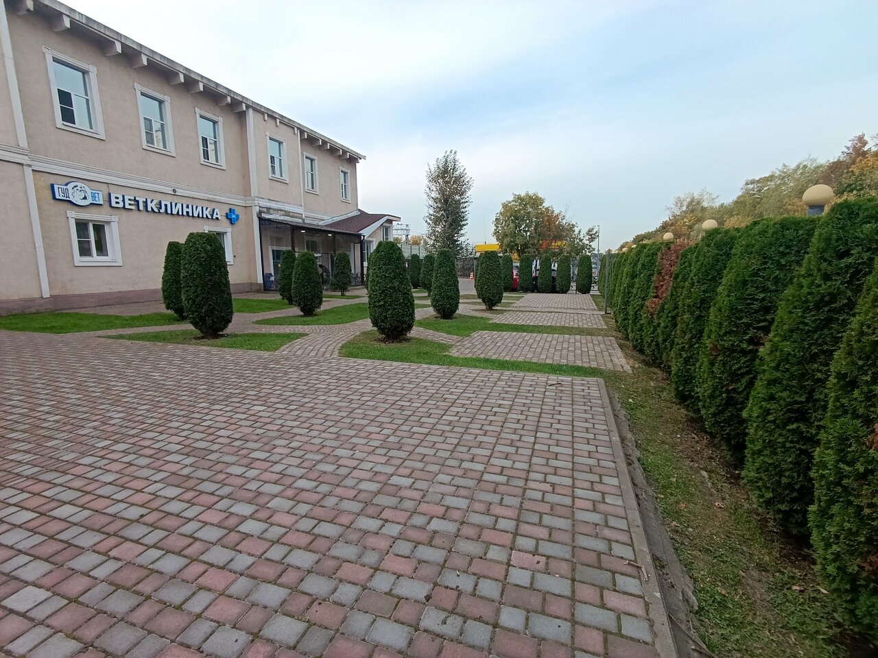 Фото клиники 68394