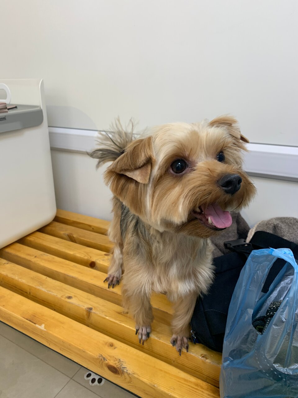 more clinic photos 26386