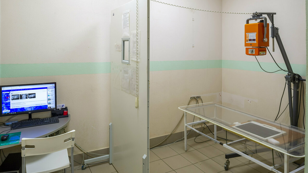 more clinic photos 11837