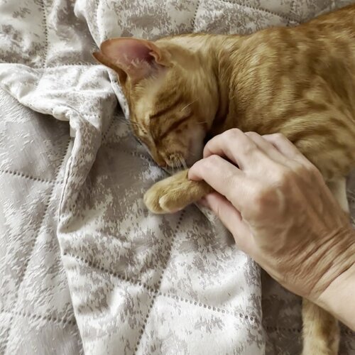 clinic general image