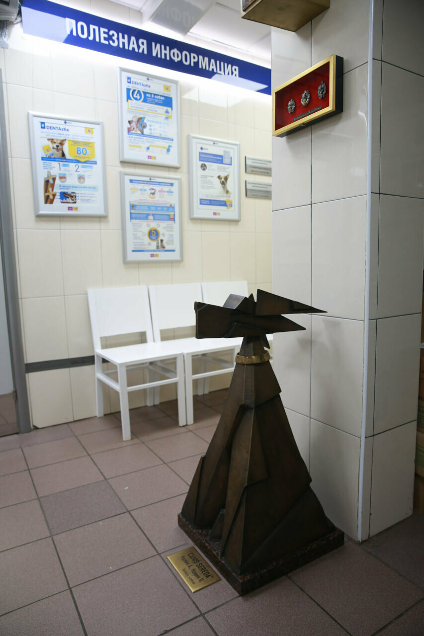 more clinic photos 6349