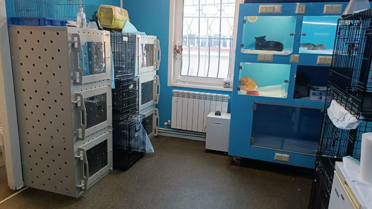 more clinic photos 69408