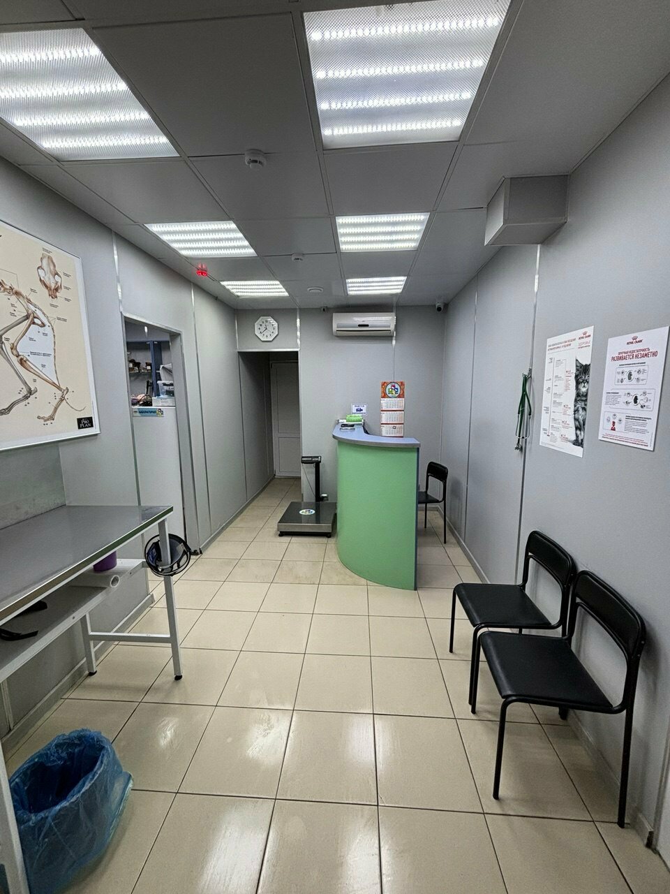 Фото клиники 63831