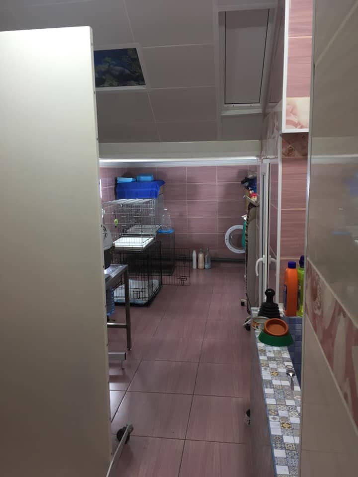 more clinic photos 37136