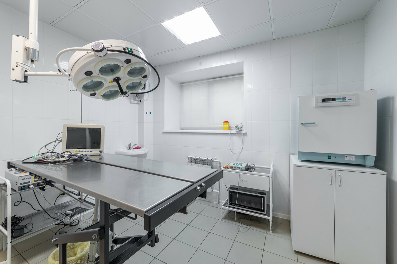 Чеширский Кот