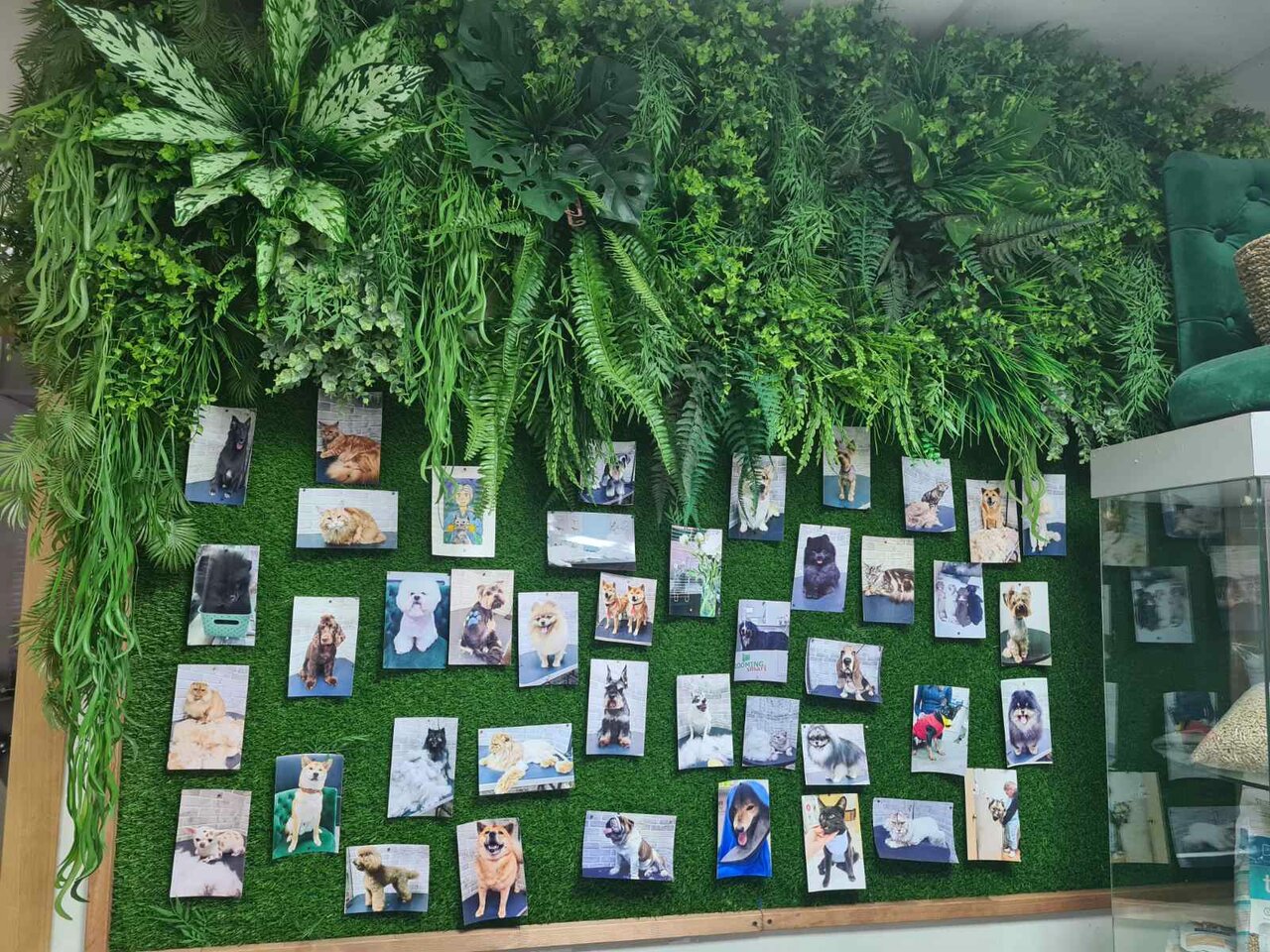 more clinic photos 23318