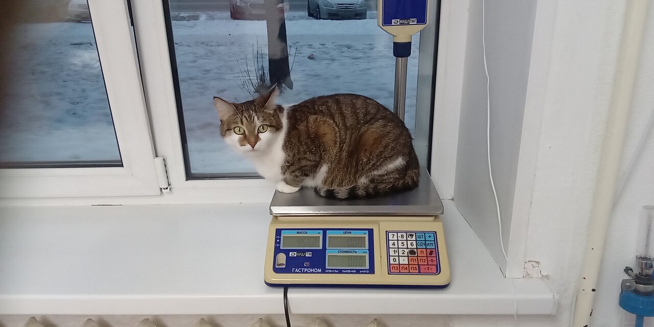 more clinic photos 70136