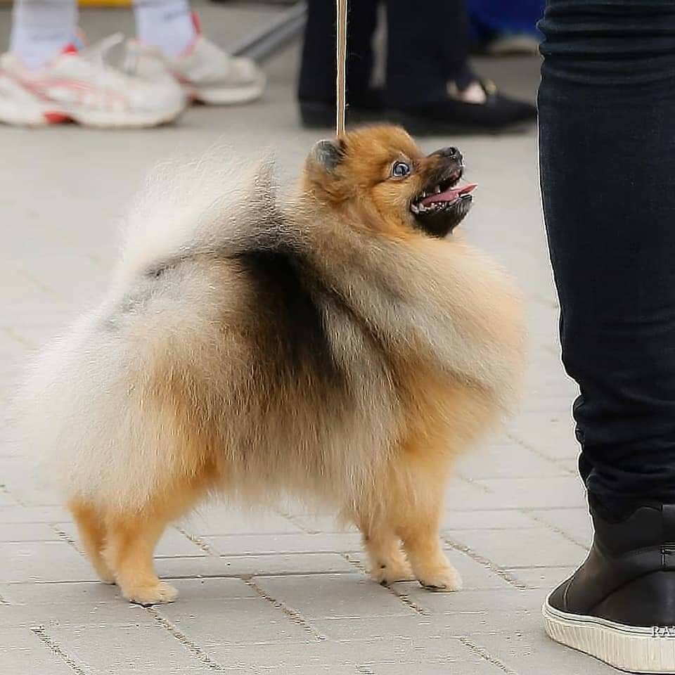 clinic general image