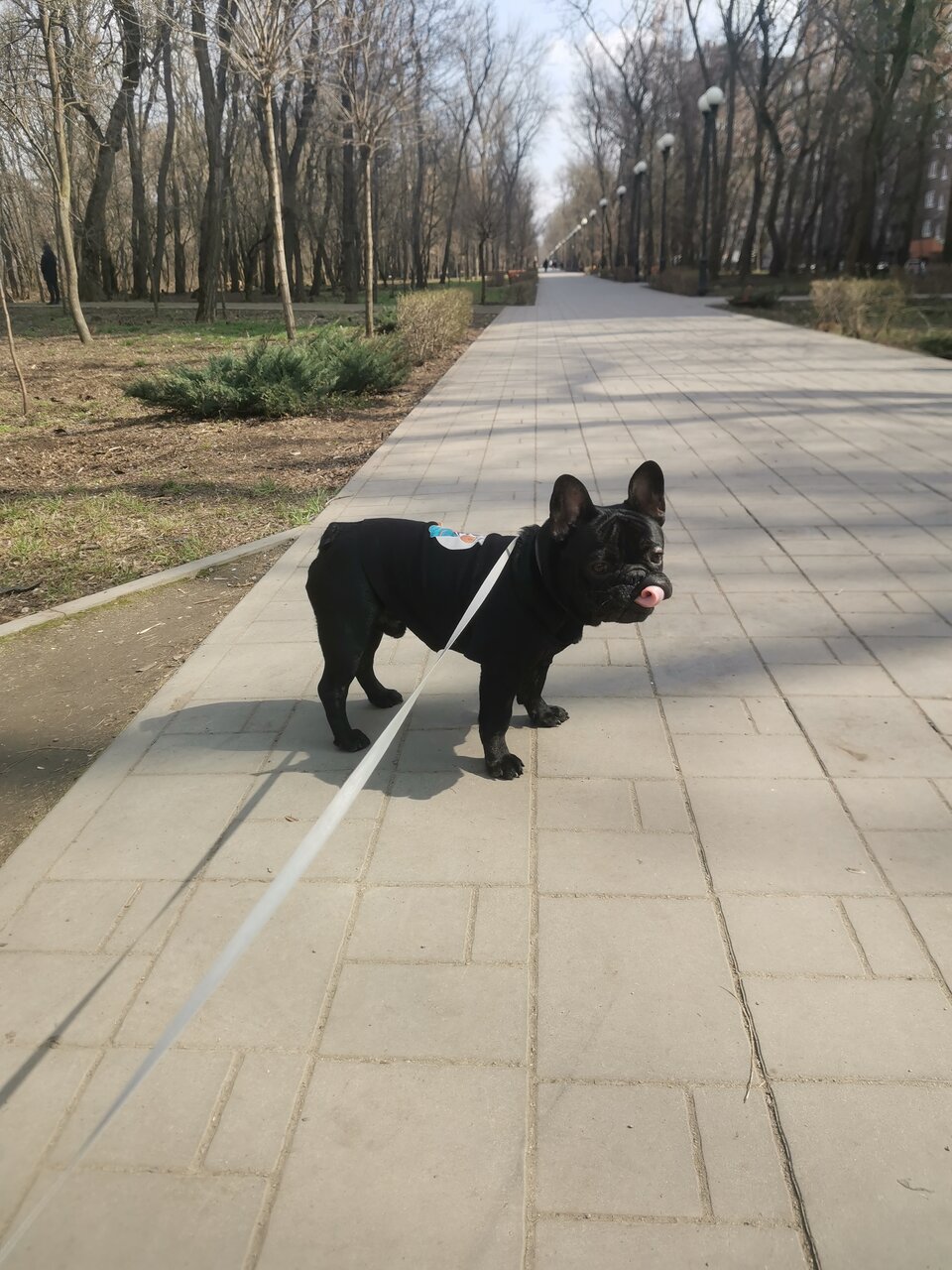 Фото клиники 26911