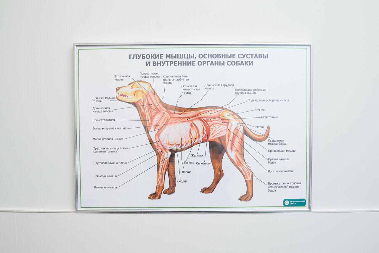 more clinic photos 29894