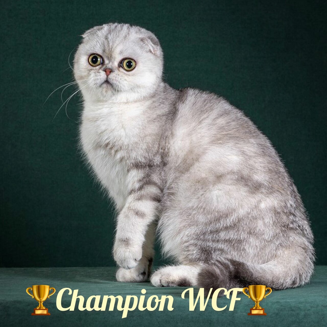 more clinic photos 73134