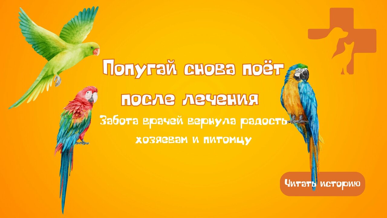 Фото клиники 11351