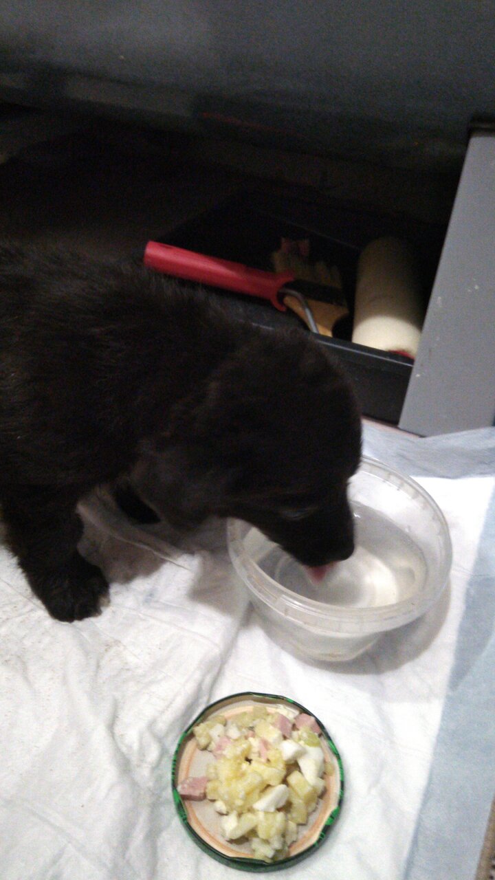 more clinic photos 81234