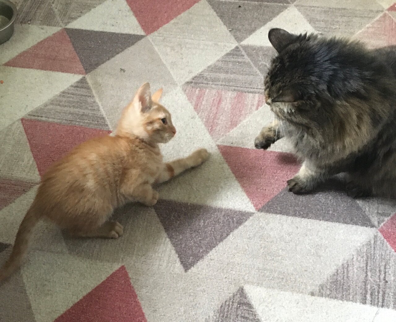 clinic general image