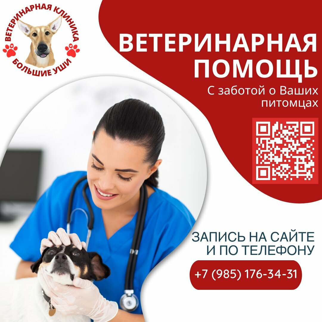 Главное фото клиники