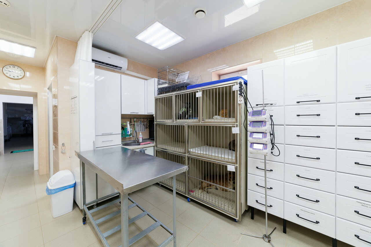 Ветеринарная клиника доктора Ярошенко