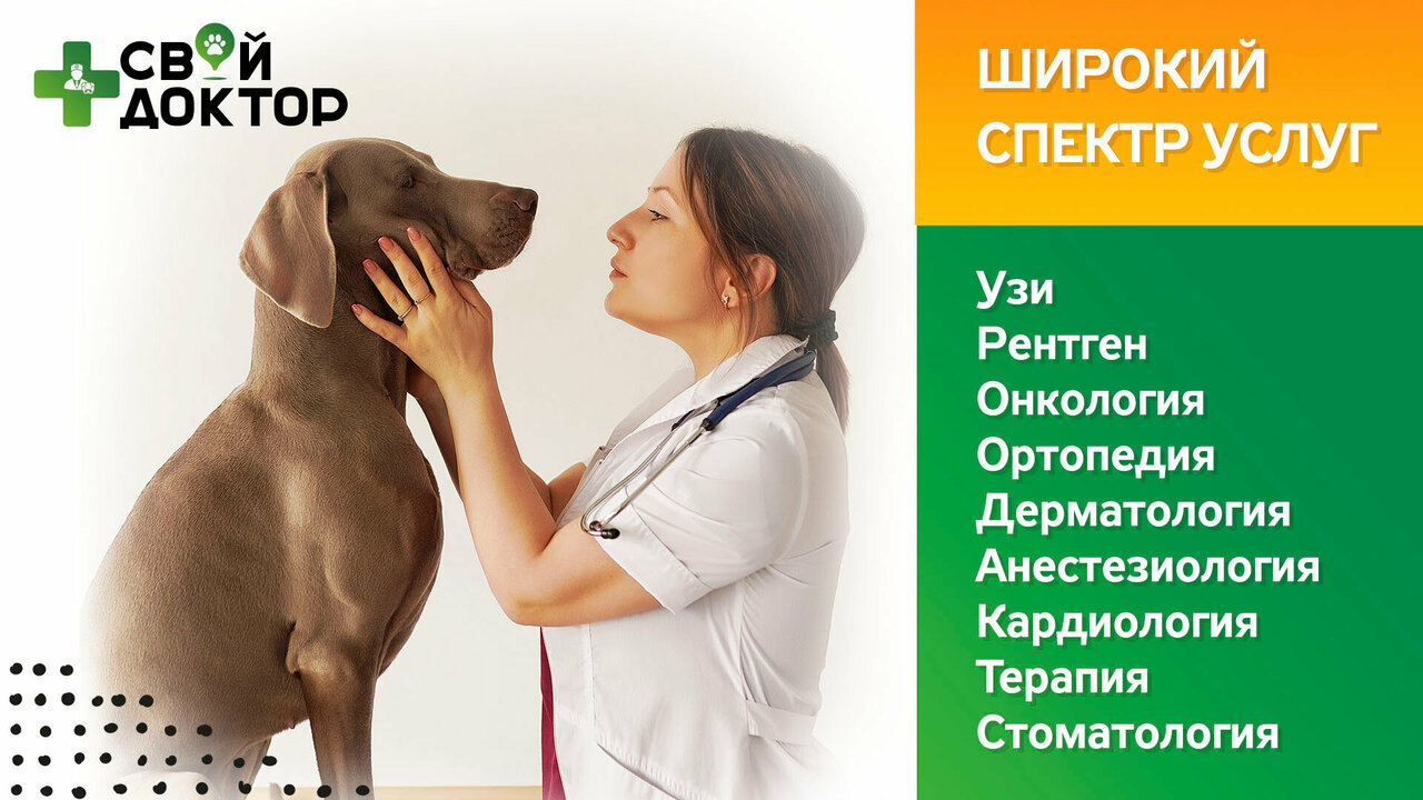 Свой доктор