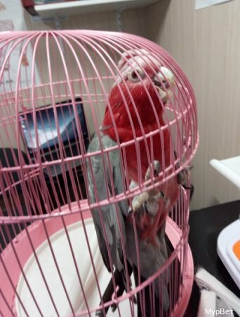 more clinic photos 44827