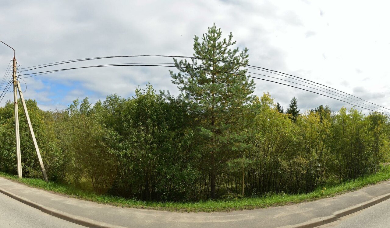 Бюджетное учреждение Вологодской области Череповецкая межрайонная станция по борьбе с болезнями животных, филиал Белозерская районная станция по борьбе с болезнями животных