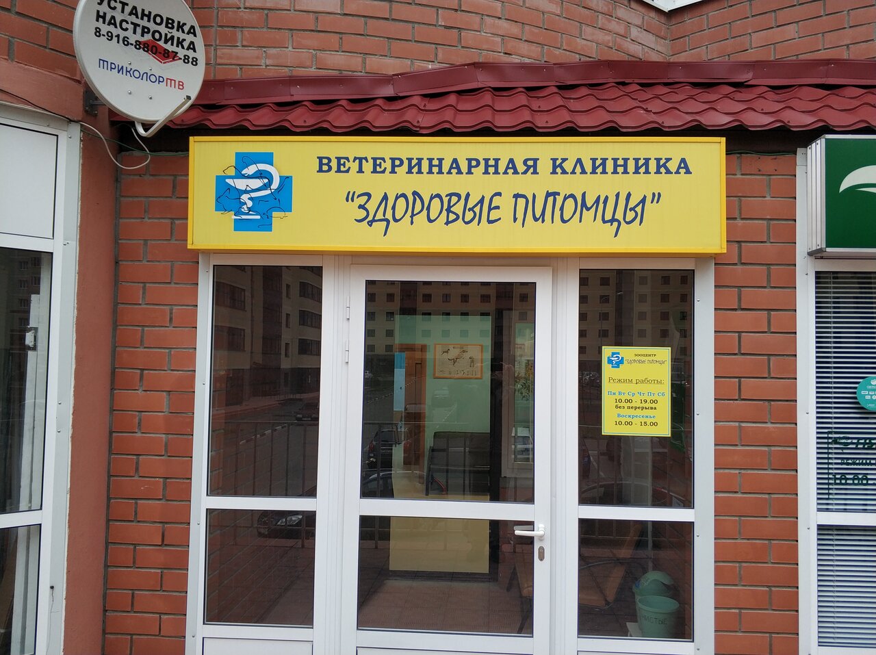 Здоровые питомцы