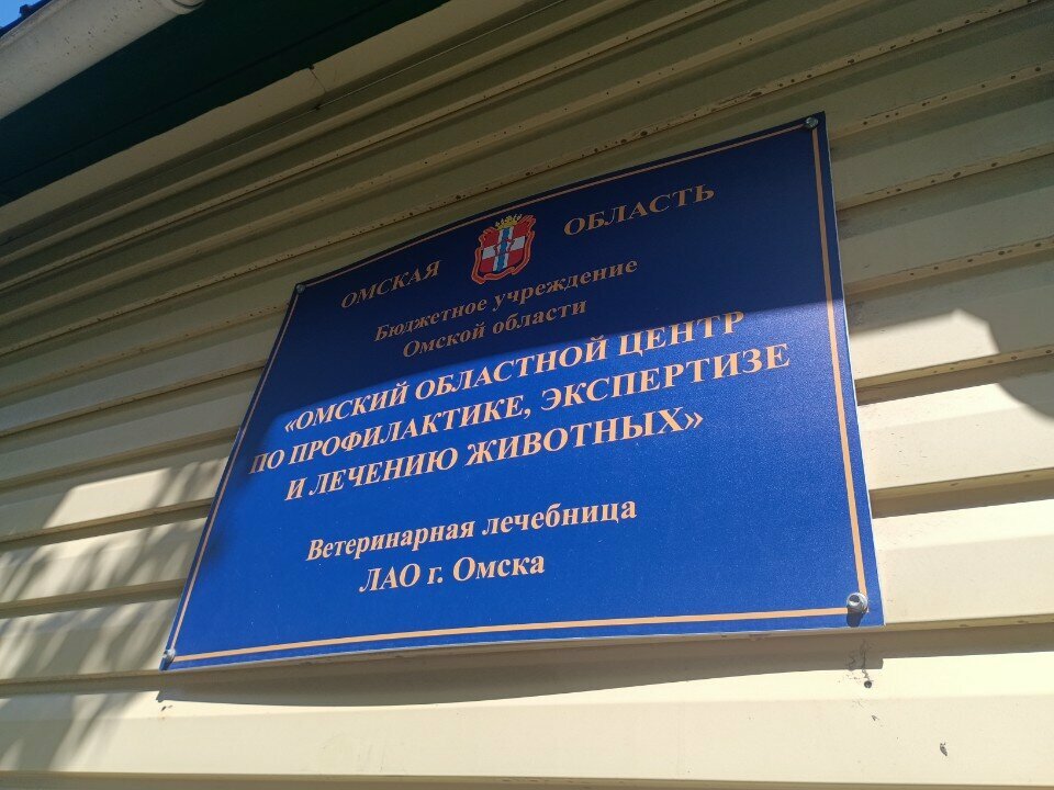 Фото клиники 61066